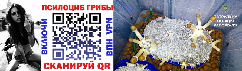 Псилоцибиновые грибы прущие грибы Купить закладки Поронайск